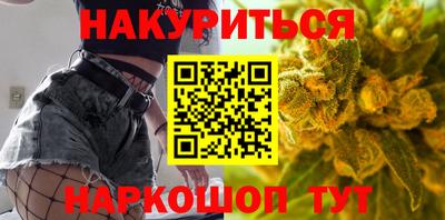 гидра Новодвинск