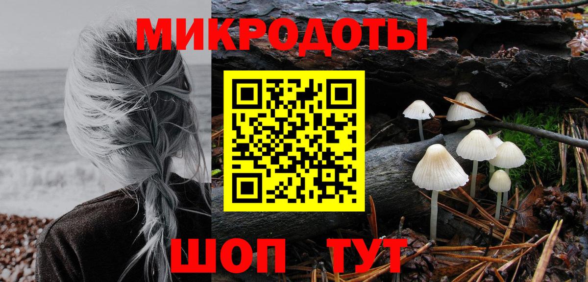 Галлюциногенные грибы Psilocybe Рыбинск